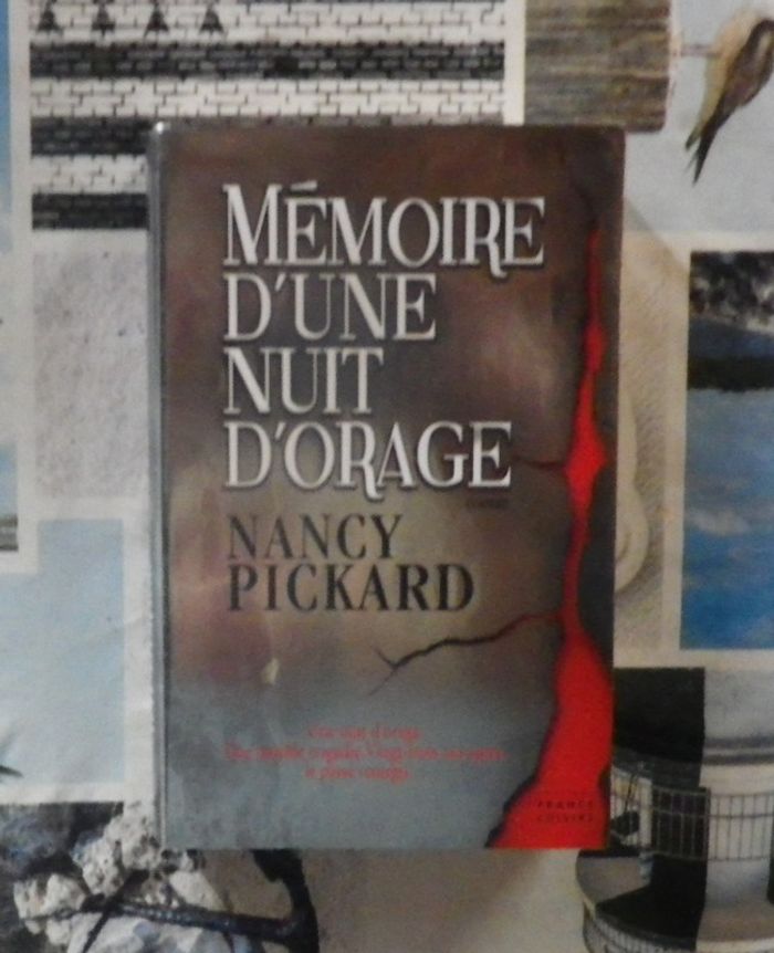 Mémoire d'une nuit d'orage de Nancy Pickard Ed. France Loisirs