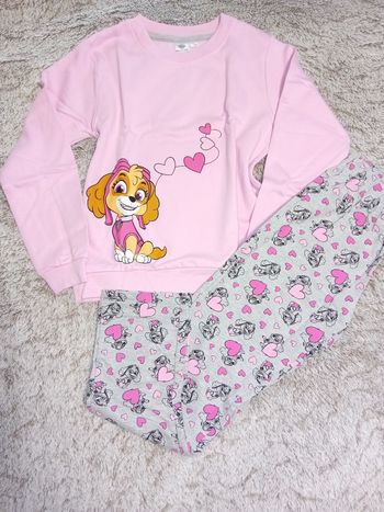 Ensemble pat patrouille