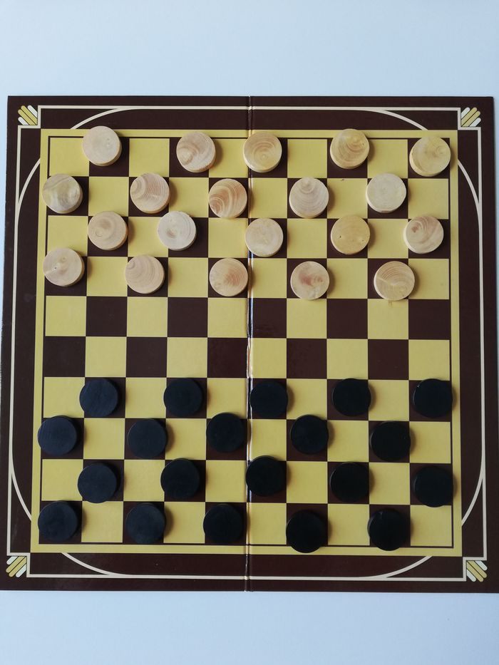 jeu de dames - photo numéro 4