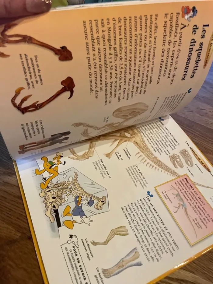 Livre Disney Le monde merveilleux de la connaissance Les Dinosaures - photo numéro 8