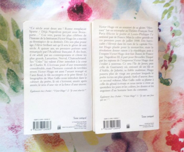 VICTOR HUGO T1&2 par Max GALLO Ed. Pocket - photo numéro 4