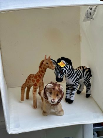 Lot Steiff