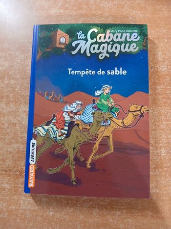 La cabane magique tome 29
