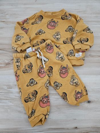 Ensemble simba