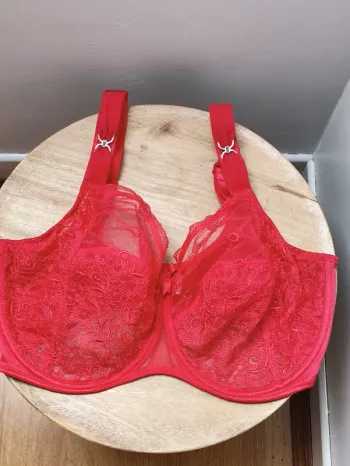💋 cerise griottes 🍒  sexy gorge dentelle