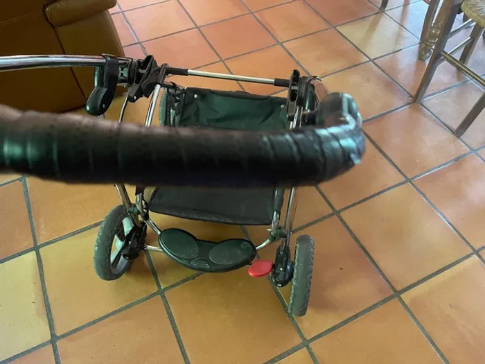 poussette trophy bebe confort - photo numéro 2