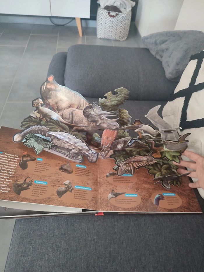 Lot de 3 livres dinosaures - photo numéro 3