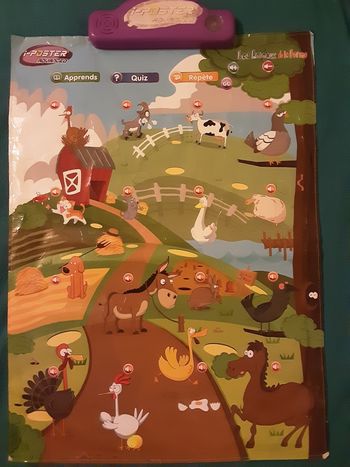 Posters intéractifs / Les animaux de la ferme, les transports et le corps humain
57cmx41cm