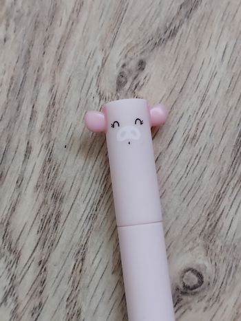 Stylo Cochon 🐷