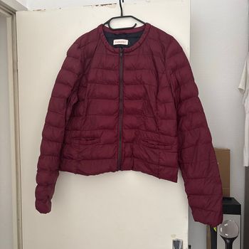 Manteau
