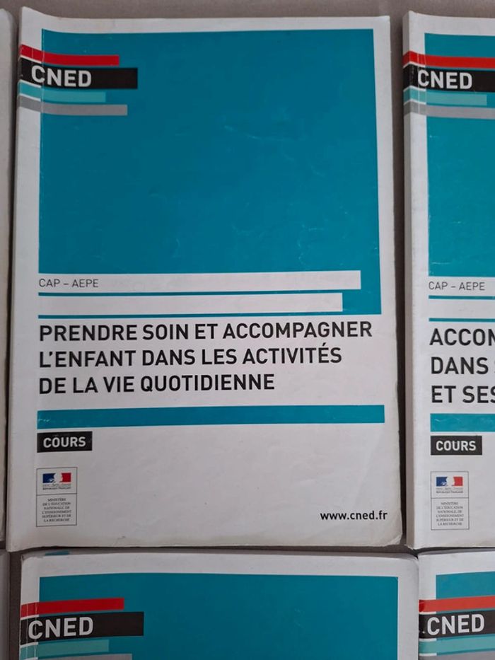 Lot de livres CNED Cap Aepe - photo numéro 6