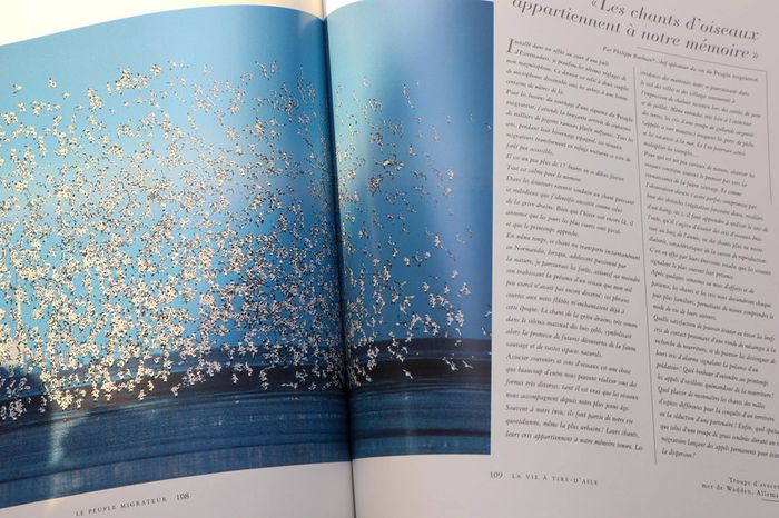 Le peuple migrateur - photo numéro 3