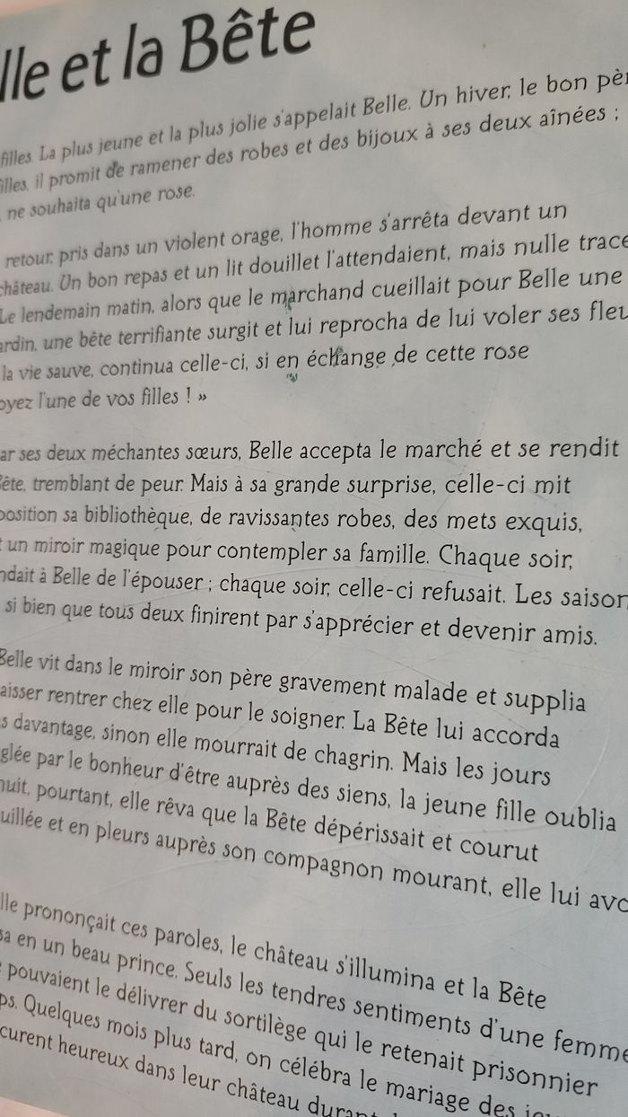 Livre à pochoirs princesses Éditions Babiroussa - photo numéro 8