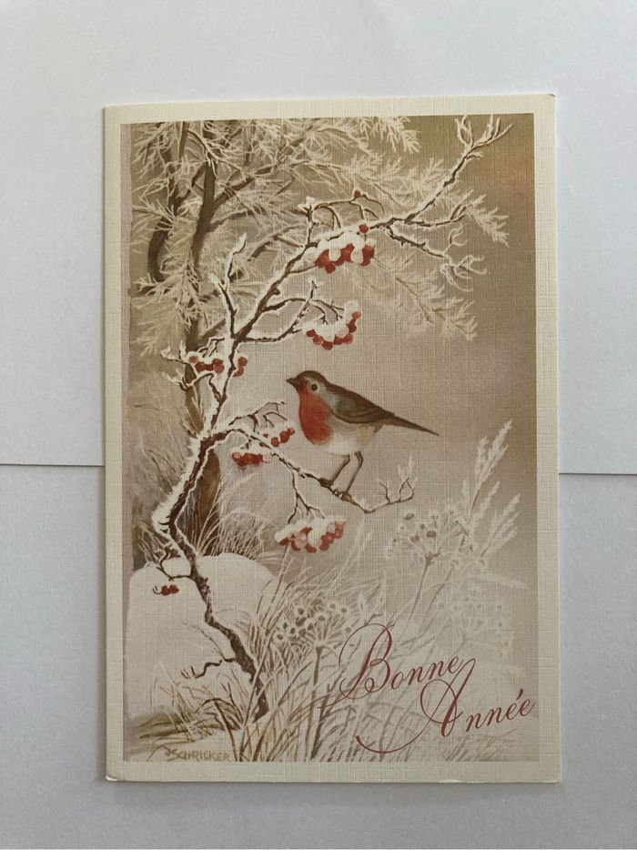 Lot 3 cartes de vœux - photo numéro 3