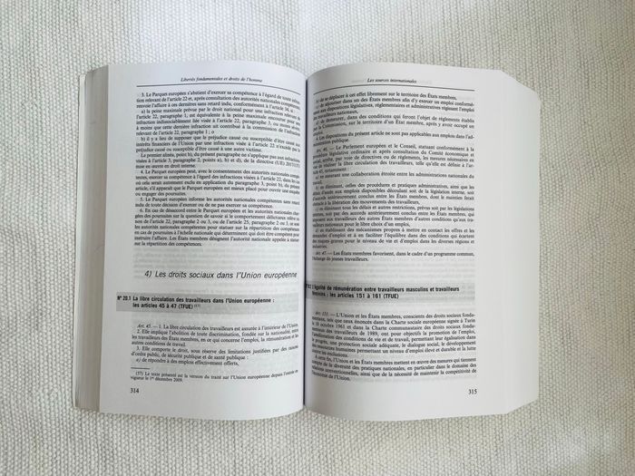 Manuel Libertés fondamentales et droits de l’homme - Oberdoff et Robert jaune en très bon état - photo numéro 2