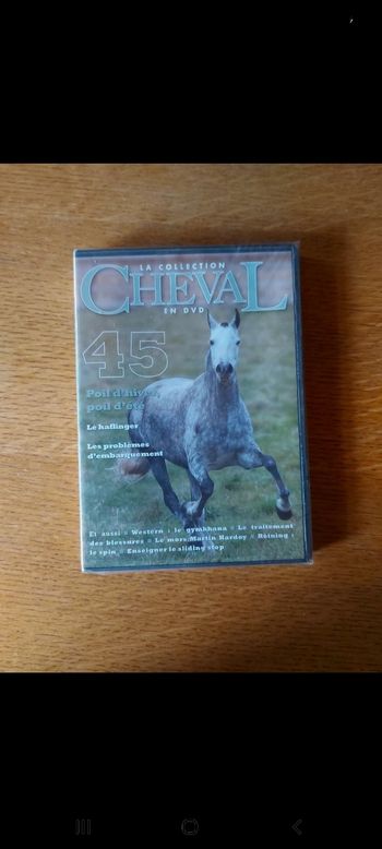 DVD