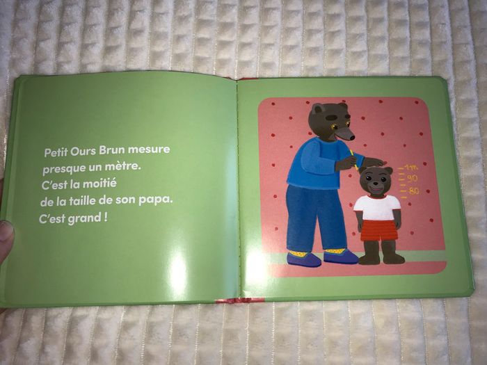 Petit ours brun devient grand - photo numéro 2