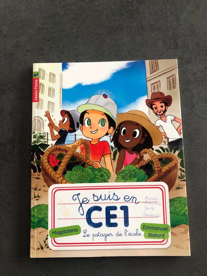 Livres CE1 - photo numéro 7
