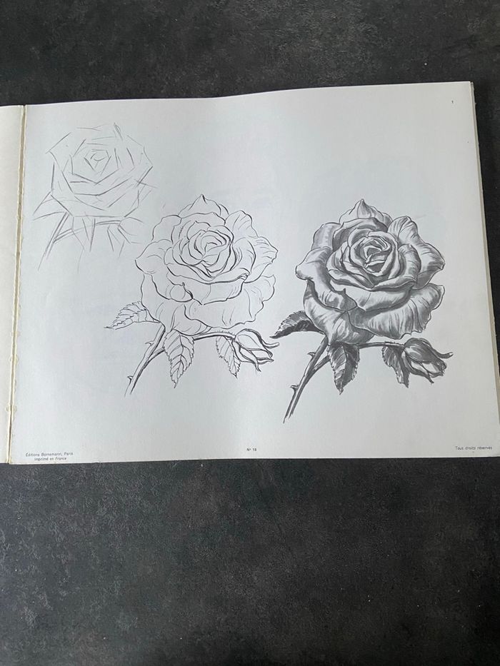 Manuel Le dessin enseigné par l’exemple par Albert Genta - photo numéro 2