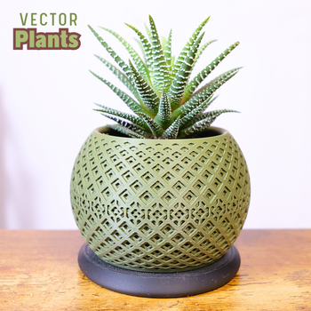 Jardinière Pot de Fleurs – Style Géométrique & Organique