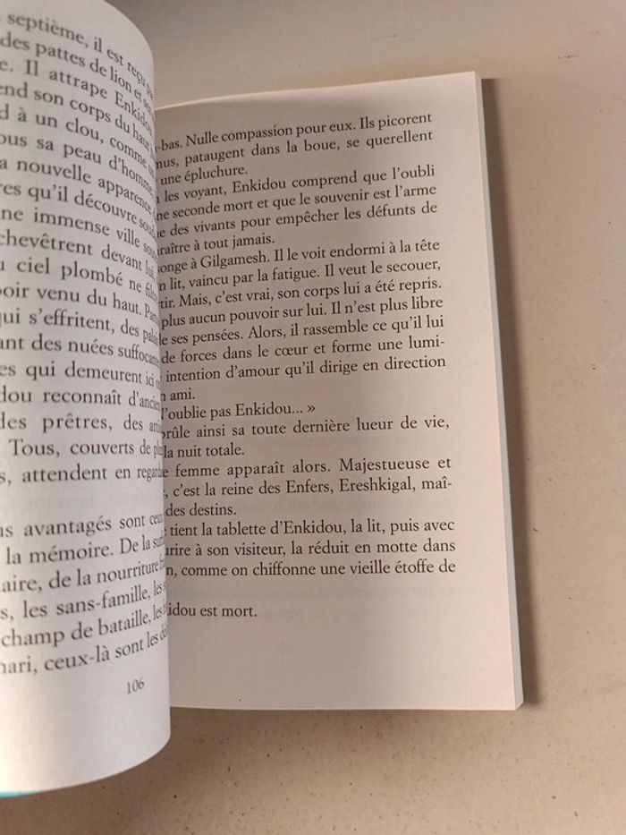 Le premier roi du monde l'épopée de Gilgamesh de Jacques cassabois - photo numéro 6