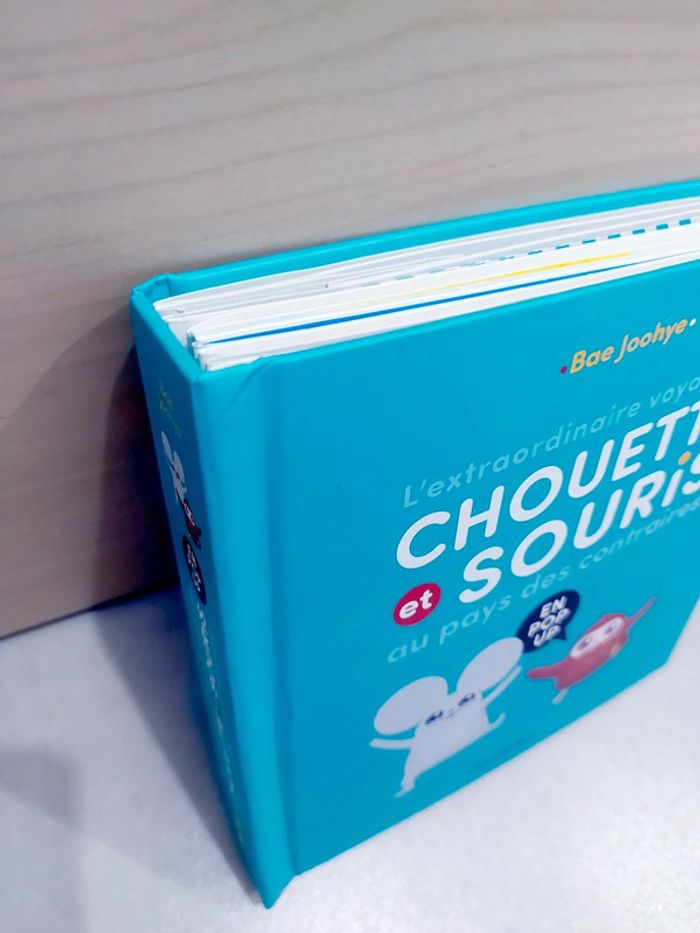 📚 Livre pup up : L'extraordinaire voyage de chouette et souris au pays des contraires - photo numéro 9