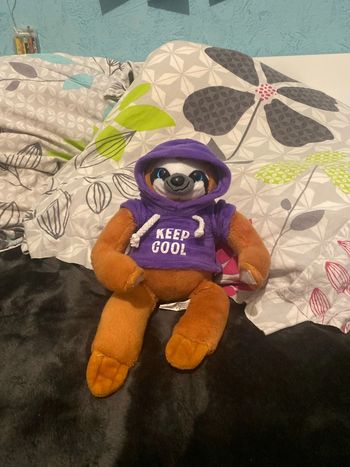 Peluche ours, paresseux pour enfants