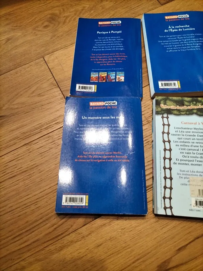 4 livres : La cabane magique. - photo numéro 7