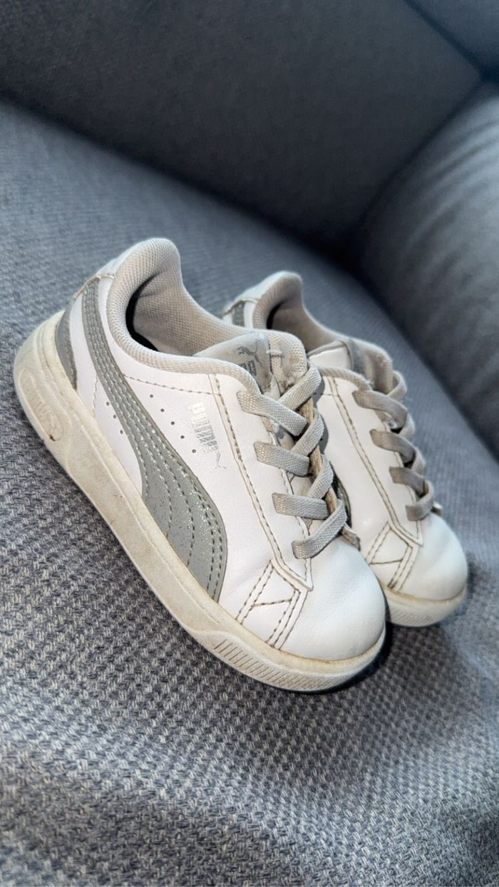 Basket puma