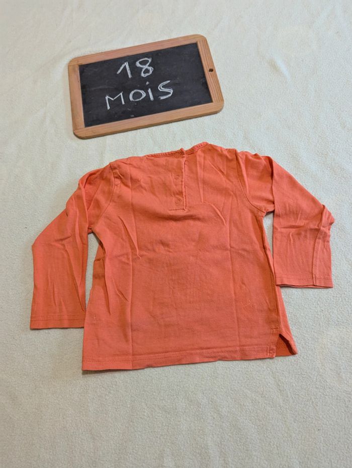 Tee-shirt manches longues pik ouic 18 mois - photo numéro 3