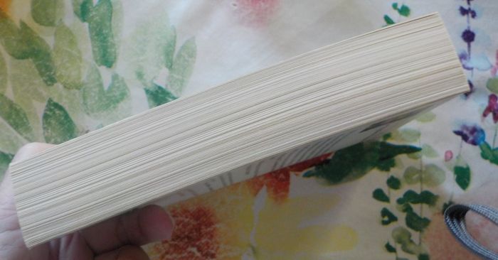 LE MYSTERE NAPOLEON de Steve BERRY Ed. Pocket - photo numéro 5