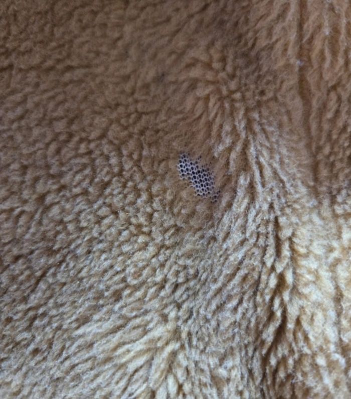 Blouson cuir véritable T.XXL - photo numéro 9