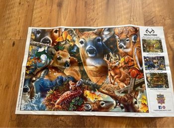 puzzle 1000 pièces avec poster - photo numéro 2