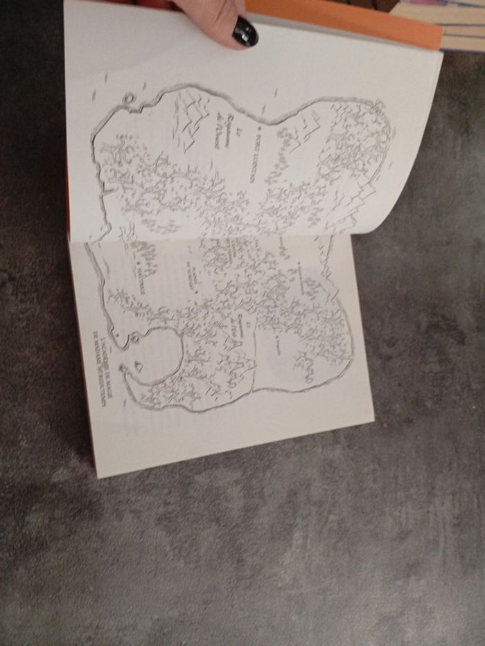 Livre une histoire de magie - photo numéro 6