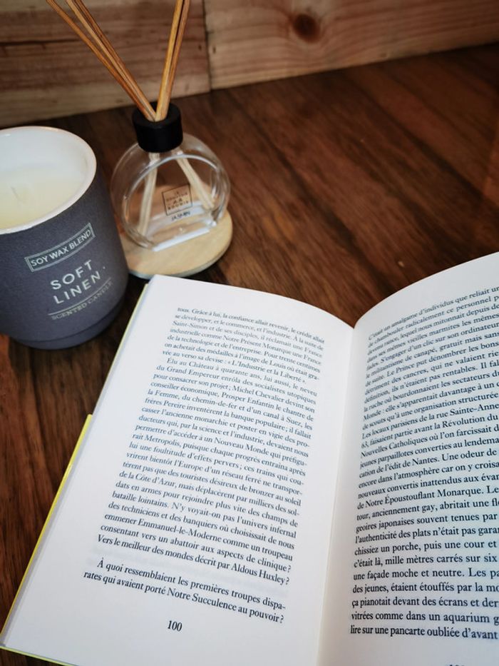 D2959 - livre "Emmanuel le magnifique" - photo numéro 4