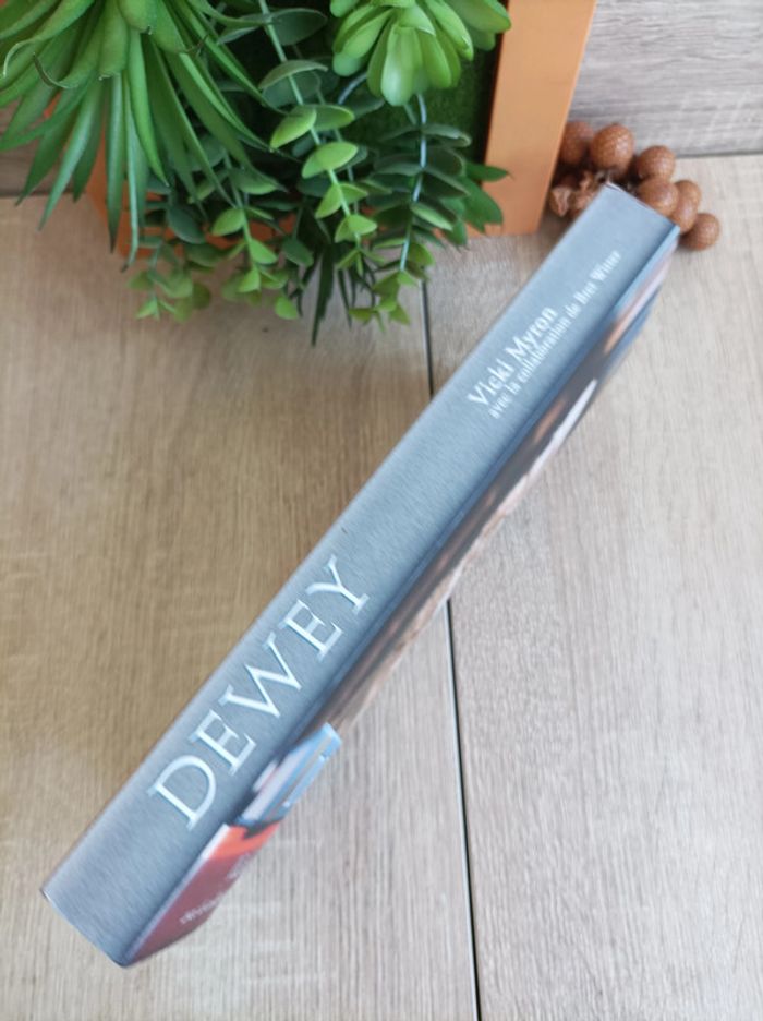 Livre Dewey Vicki Myron - photo numéro 3