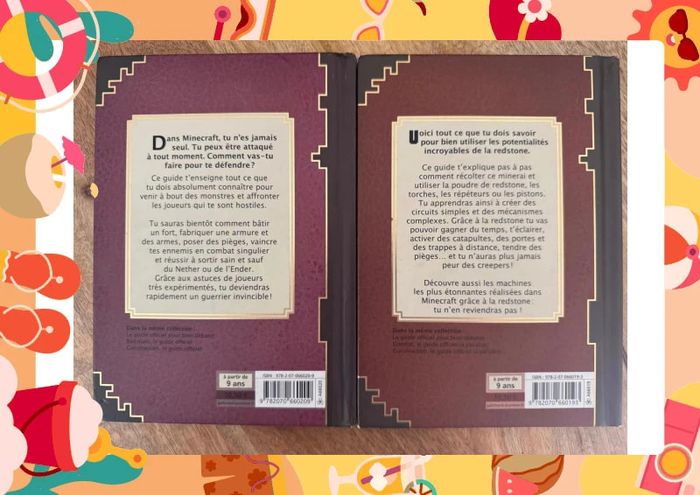 Lot deux livres minecraft - photo numéro 2