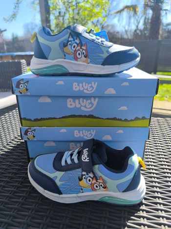  Baskets Bluey & Bingo