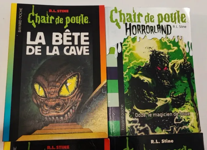 Lot 4 livres chair de poule - photo numéro 3