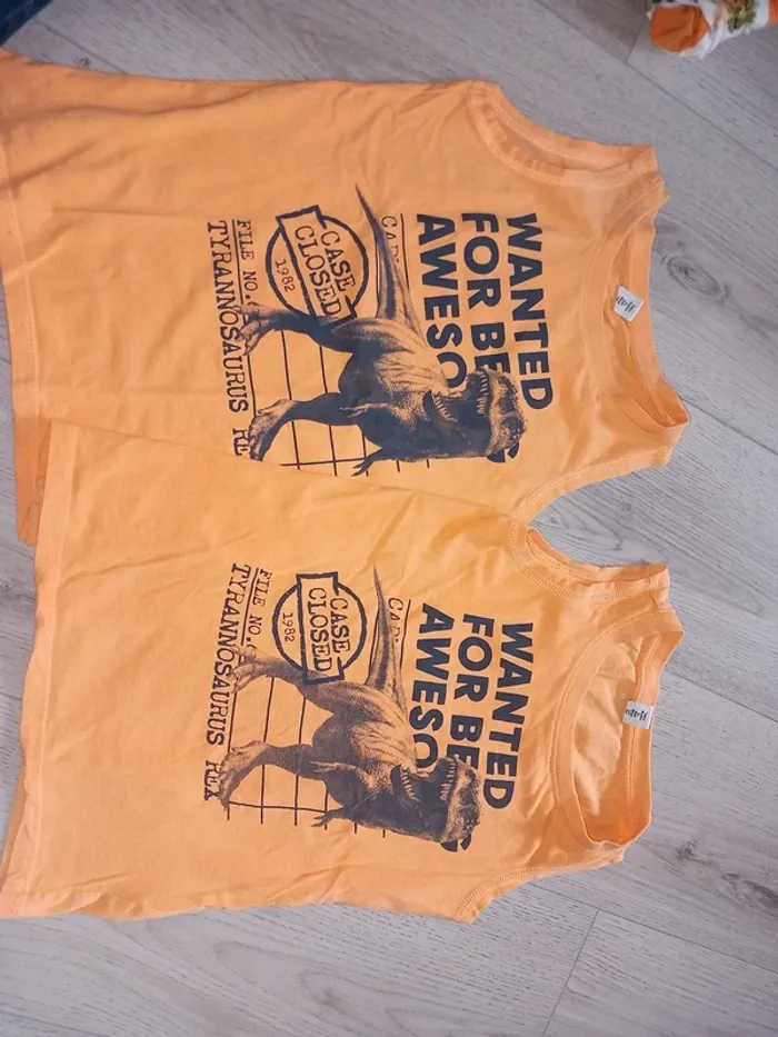 Lot de 2 t-shirts tyrannosaure