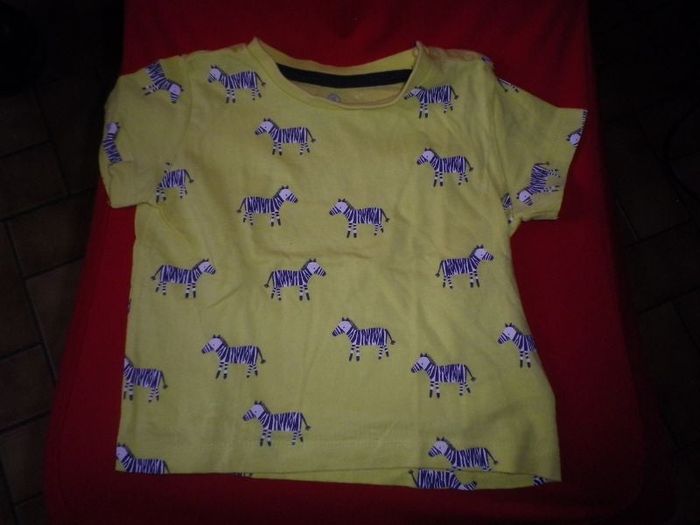 TEE SHIRT ZEBRES