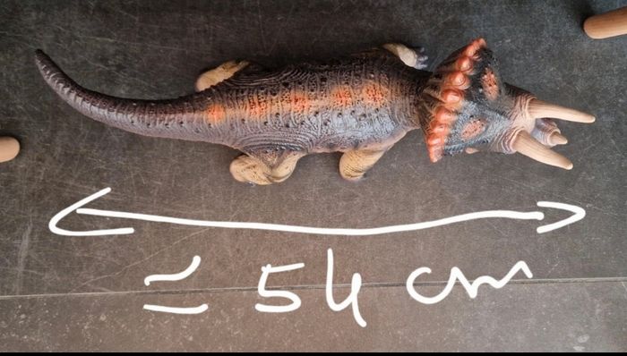 Triceratops - photo numéro 2