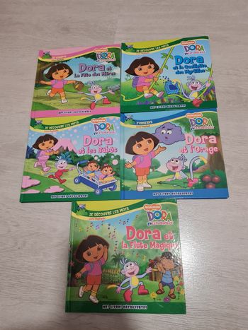 Lot de 5 livres dépliants Dora l'exploratrice Mixtes