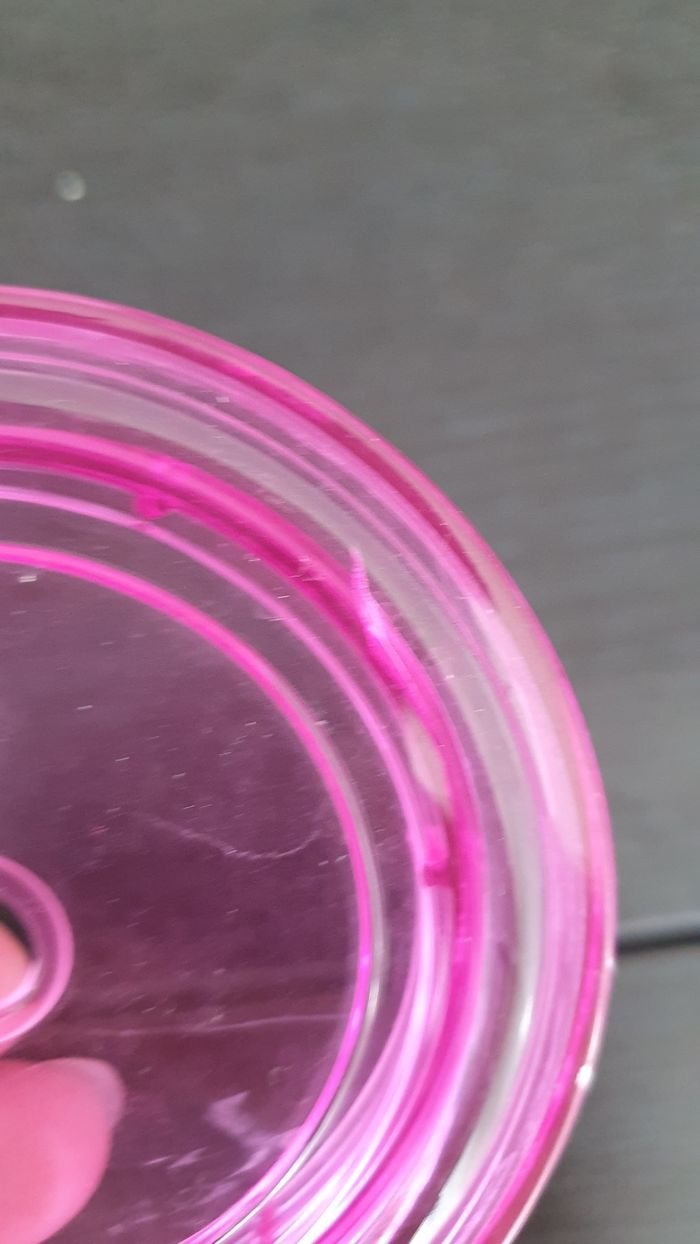 Verre Minnie - photo numéro 3