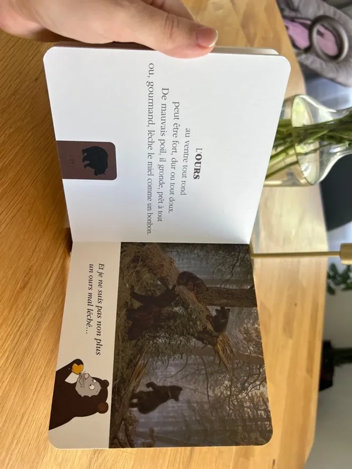 Eliart - le rat des goûts - livre neuf - photo numéro 4