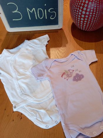 Lot de 2 bodies taille 3 mois en très bon état