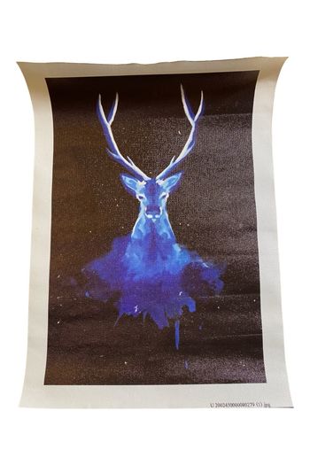 NEUF Poster Harry Potter