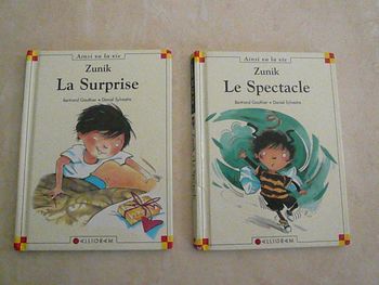 Lot de 2 livres enfants « Zunik »