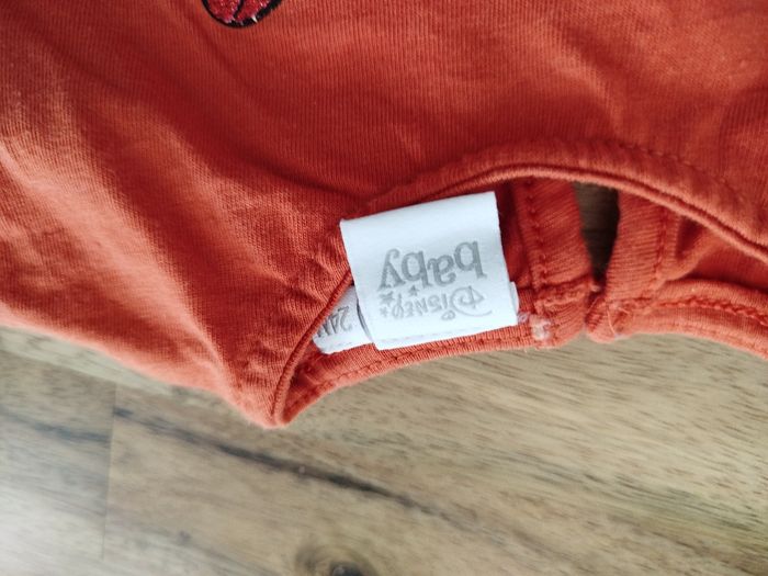 Lot de 2 t-shirts 24mois - photo numéro 3