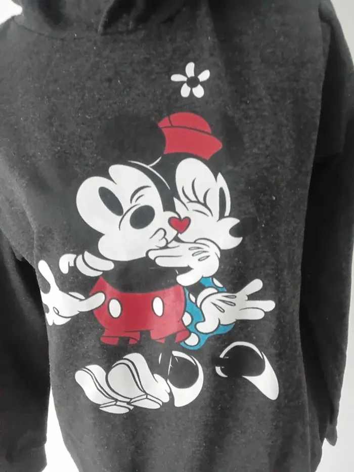 🌹pull a capuche Disney Taille 40🌹 - photo numéro 2